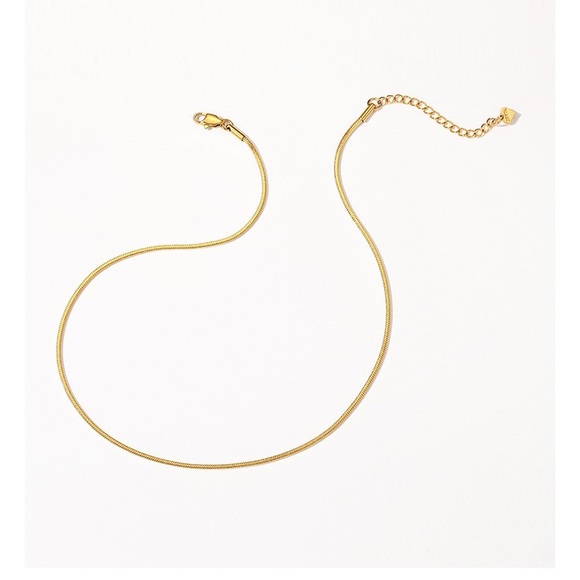 Snakebone necklace - Picture 4 of 4